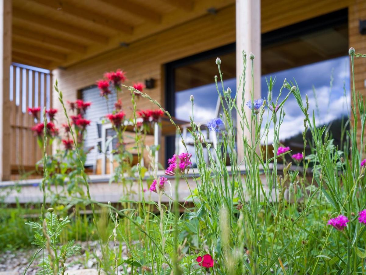 Wiesenquartier I I Adults Only Chalet Langenwang